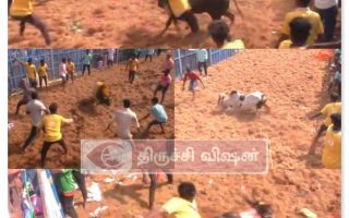 மணப்பாறை அருகே ஜல்லிக்கட்டு விறுவிறுப்பு: சீறும் காளைகள், அசத்தும் வீரர்கள்