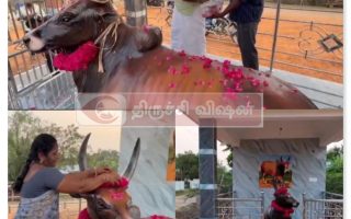 திருச்சி அருகே செங்குறிச்சியில் ஜல்லிக்கட்டு காளை “செங்குறிச்சி செவலை” நினைவுமண்டபம் திறப்பு