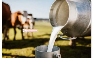 திருச்சி, பெரம்பலூர், அரியலூர் பால் உற்பத்தியாளர்களுக்கு லிட்டருக்கு ரூ.2 கூடுதல் ஊக்கத்தொகை அறிவிப்பு