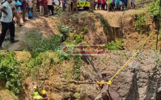 மணப்பாறை அருகே கிணற்றுக்குள்  ஒரு பெண் மற்றும் மூன்று ஆண் உட்பட நான்கு  காட்டெருமைகள் கிணற்றுள் தவறி விழுந்தது .