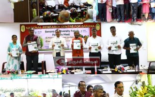 வாழை உற்பத்தி செய்யும் விவசாயிகளுக்கு ரூ15லட்சம்