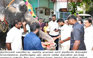 திருவானைக்காவல் கோவில் யானை அகிலாவுக்கு 24வது பிறந்தநாள் – அமைச்சர் ரமேஷ் தலைமையில் விழா