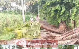 சூறாவளி காற்று – கனமழை காட்டுப்புத்தூரில் மரங்கள், மின்கம்பங்கள் சேதம்