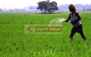 வெப்ப அலை வறட்சியிலிருந்து தோட்டக்கலை பயிர்களை பாதுகாக்கும் வழிமுறைகள்