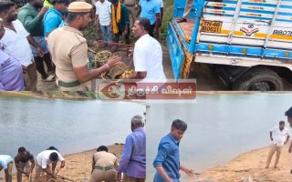 திருச்சி அருகே பரபரப்பு: தென்னந்தோப்பில் புகுந்த 12 அடி நீள முதலை மீட்பு – முக்கொம்பு ஆற்றில் விடுவிப்பு!