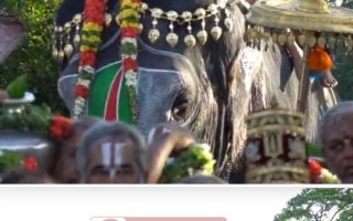 ஸ்ரீரங்கத்தில் ஜேஷ்டாபிஷேகம் – கொள்ளிடம் புனிதநீர் ஊர்வலம்