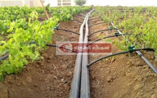 திருச்சியில் மானிய விலையில் சொட்டுநீர்ப்பாசனம்: மாவட்ட ஆட்சியர் தகவல்!